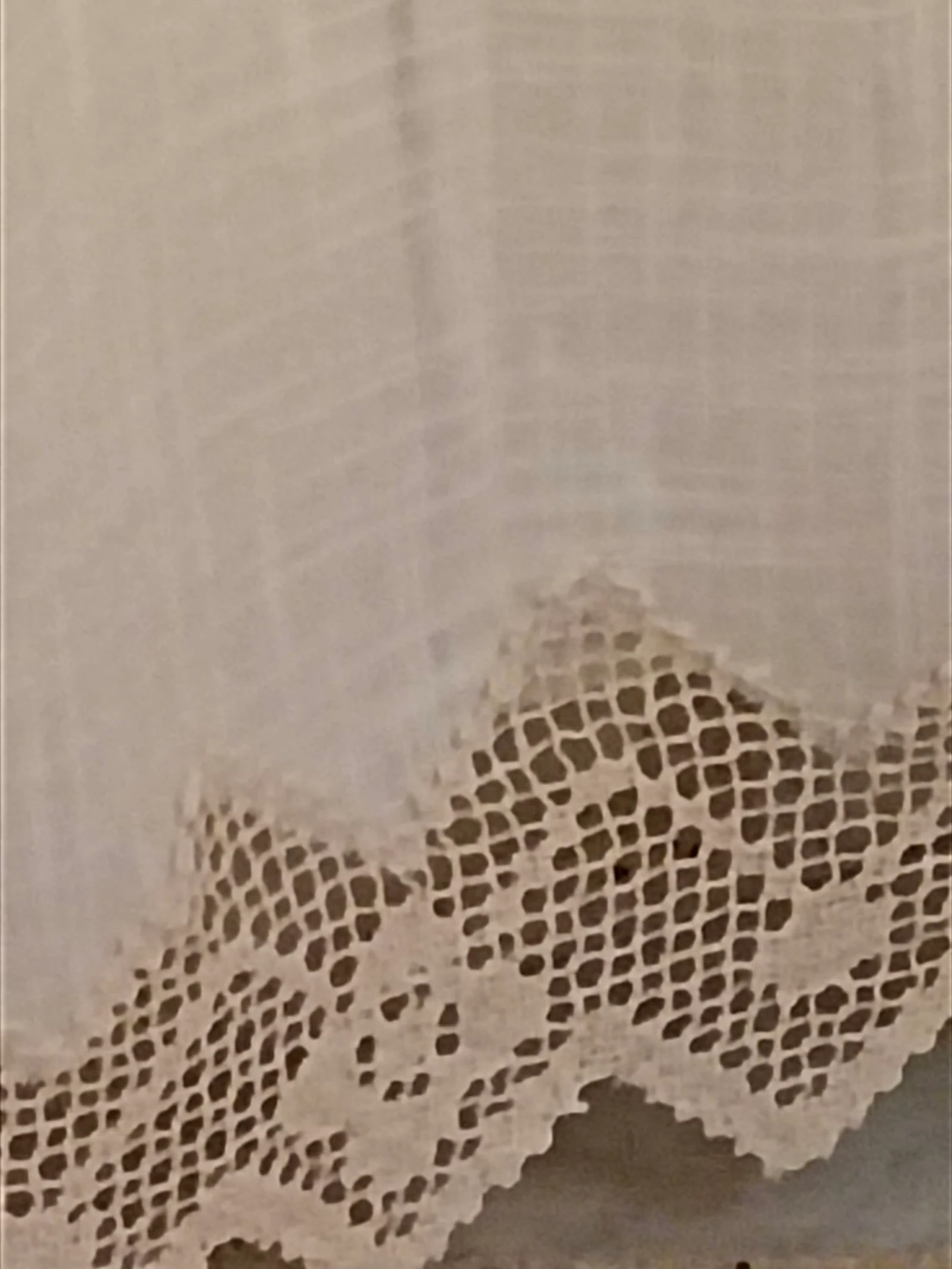 Rideau brodé avec dentelle – photo 9
